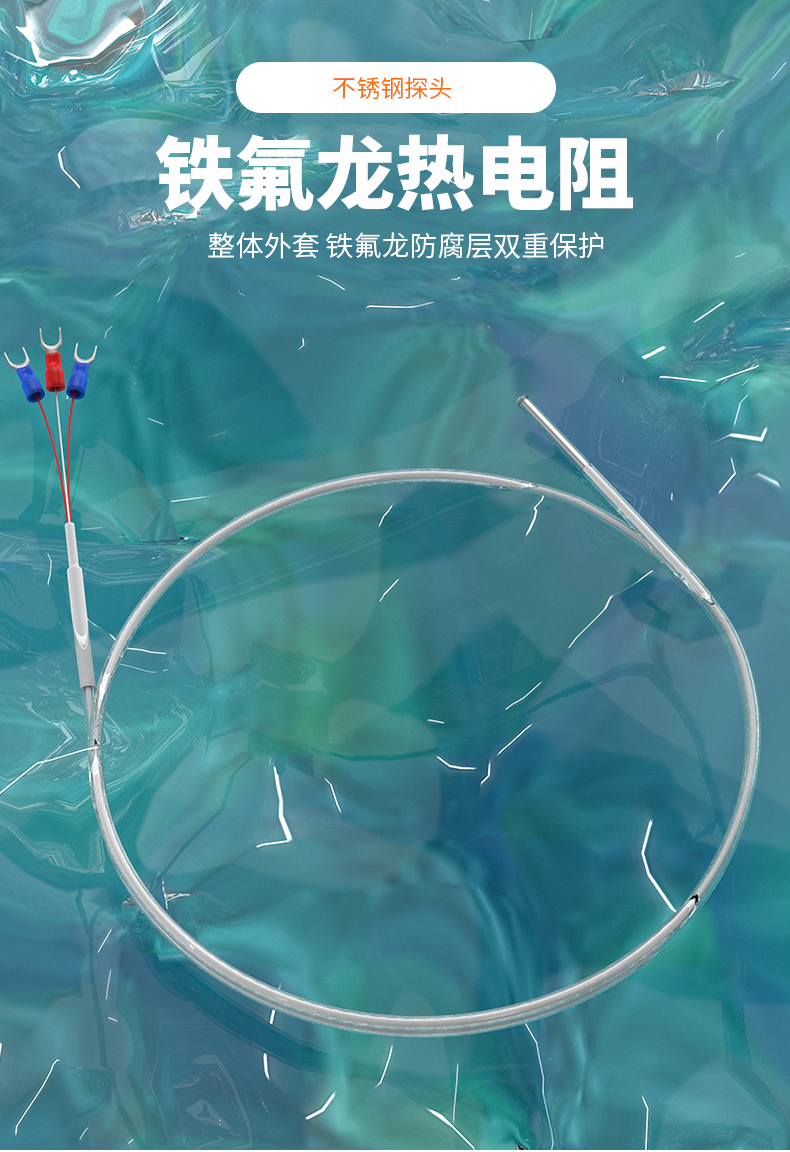 鐵氟龍熱電阻12_http://www.ttwn.com.cn_溫度儀表_第4張